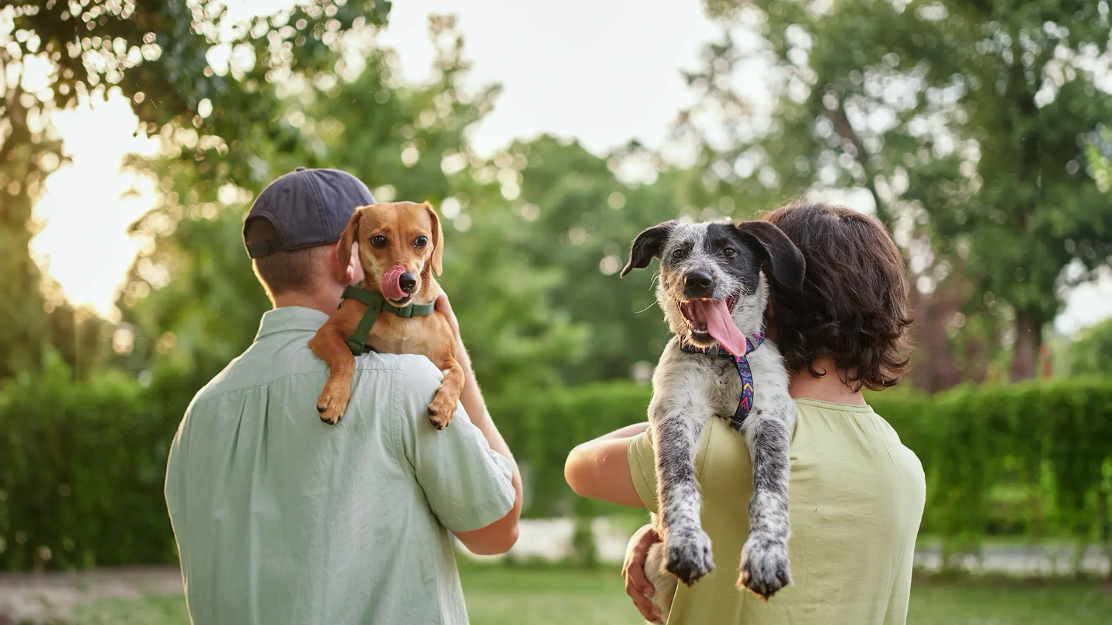 Pet owners holding their dogs outdoors