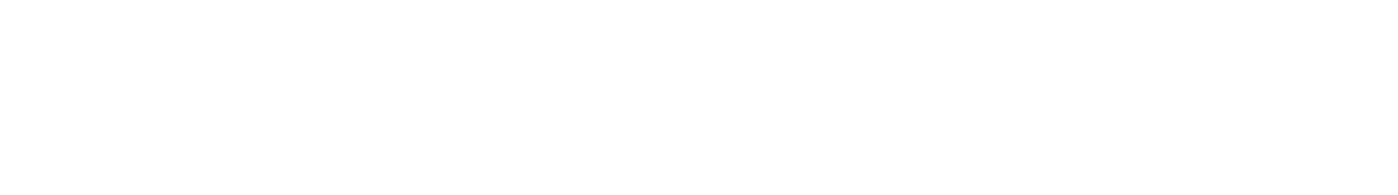 National General logo